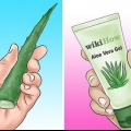 Usando l'aloe vera per l'acne
