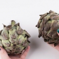 Carciofi al vapore