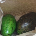Conservare l'avocado