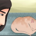 Determinare se il tuo gatto è morto