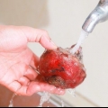Barbabietole da conserve