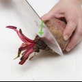 Fare il succo di barbabietola