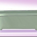 Crescere fiori dai semi
