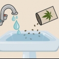 Piantare semi di cannabis in casa