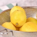 Fare l'olio al limone