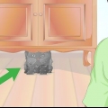 Controllare se un gatto ha la febbre