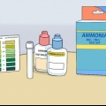 Abbassa il livello di ammoniaca nel tuo acquario
