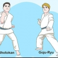 Comprendere le basi del karate