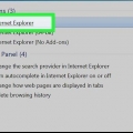 Visualizza i cookie del tuo browser