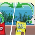 Regolazione del ph dell'acqua
