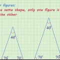 Determinazione del fattore di scala