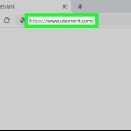 Scarica da pirate bay