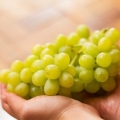 Mantenere l'uva fresca