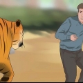 Sopravvivere a un attacco di tigre