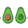 Coltivare una pianta di avocado