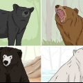 Sopravvissuto a un attacco di orso
