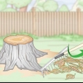 Bruciare un ceppo d'albero