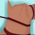 Allenare un doberman pinscher