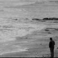 Ottenere una memoria fotografica