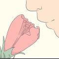 Descrivere un profumo