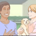 Accarezzare un cane
