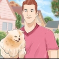 Dare a un cane un nuovo nome