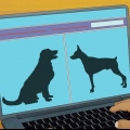 Adotta un cane guida