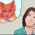 Prendere un gatto come animale domestico
