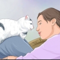 Impedisci a un gatto di svegliarti