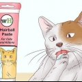 Aiutare un gatto a tossire una palla di pelo