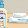 Fare il bagno a un gatto con danni minimi