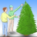 Prendersi cura di un albero di natale