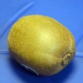 Fai maturare un kiwi