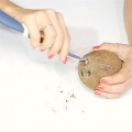 Aprire una noce di cocco