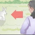 Tenendo un coniglio