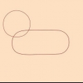 Disegnare un leone