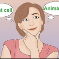 Crea un modello di una cella
