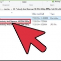 Scatta un'istantanea di un video in windows media player