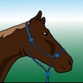 Spazzolare un cavallo