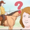 Addestrare un cavallo