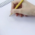 Disegnare un panda