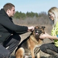Utilizzo di un collare a punta per cani