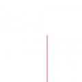 Disegnare una rosa