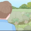 Creazione di un giardino roccioso con prevenzione delle erbe infestanti