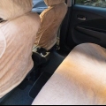 Ottenere un odore di muffa dalla tua auto