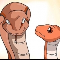 Scegliere un serpente come animale domestico