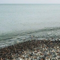 Fai rimbalzare una roccia sull'acqua