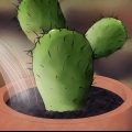 Salvare un cactus morente