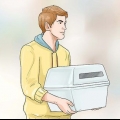 Addestramento domestico di un bassotto