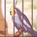 Come domare un cockatiel